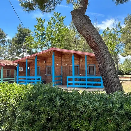 Gold Coast Village Campsite